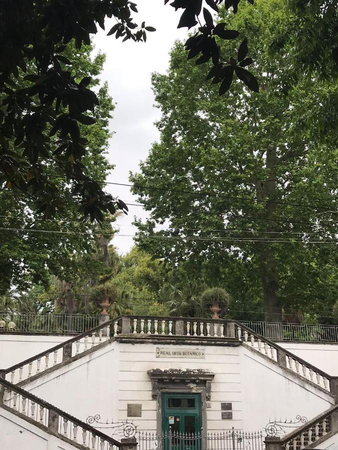 Botanical Garden's Flat